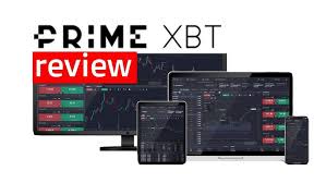 Discover Everything About PrimeXBT Contacts
