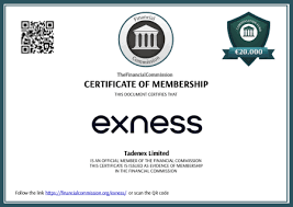 Exness Trading Your Gateway to Successful Forex Trading Exness Trading Your Gateway to Successful Forex Trading
