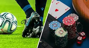 Explore the Features and Benefits of Betwinner