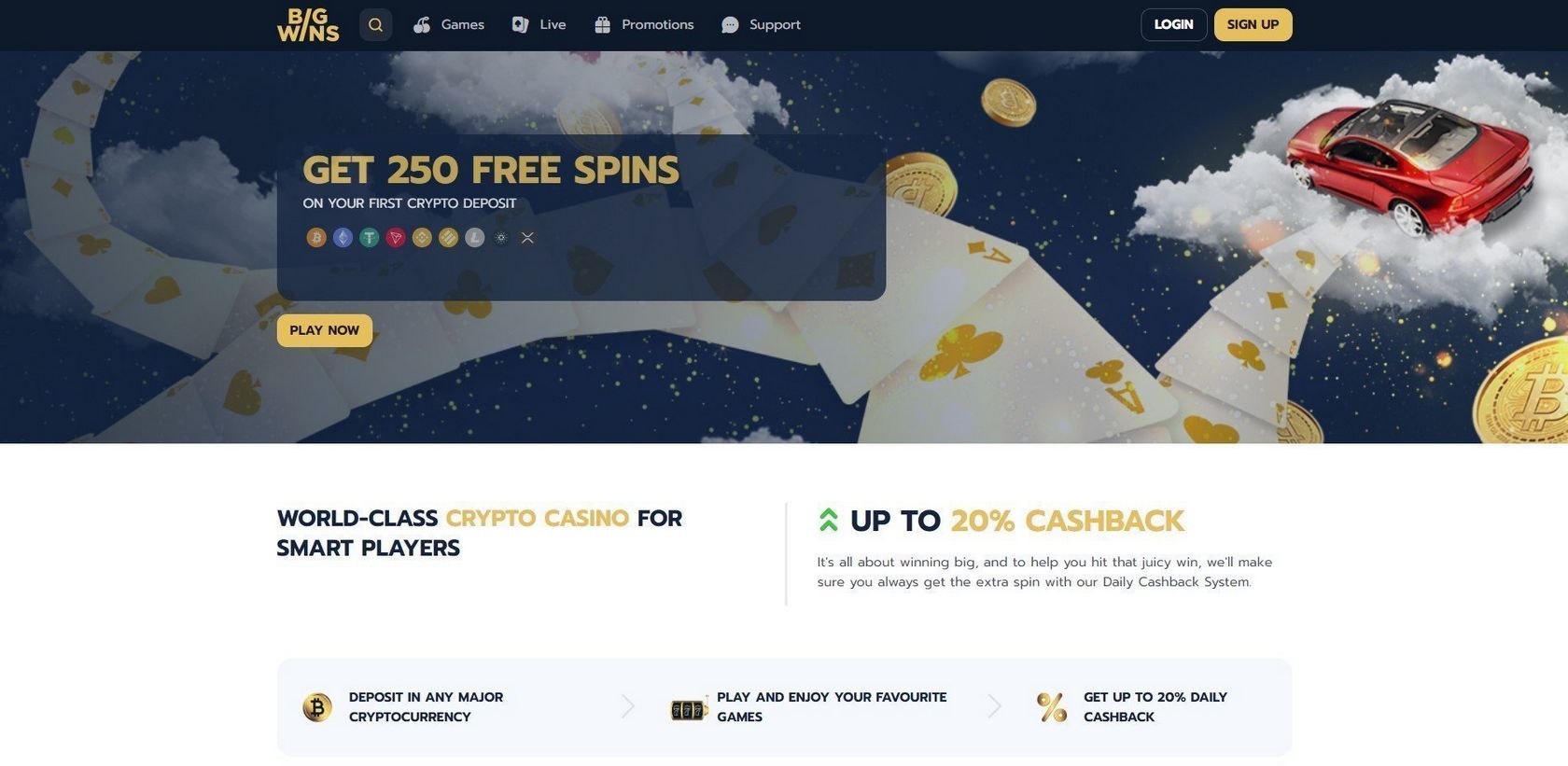 Bigwin Casino Site Evaluation