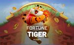 Tiger Demo - Aposte Grátis e Confira Todas as Funções